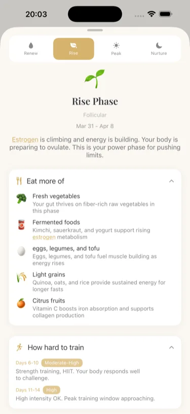 Rise phase - nutrition and training recommendations