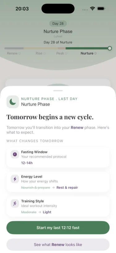 App timer screen - showing current fast duration and cycle phase